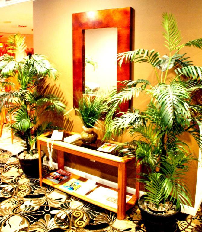 Homestyle Inn And Suites Springfield Eksteriør bilde